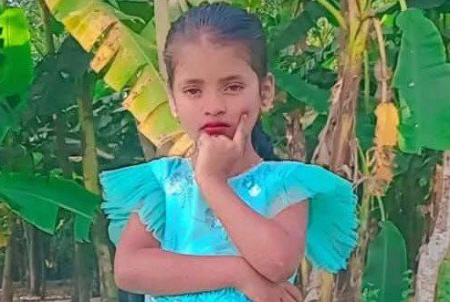 মানিকগঞ্জে নিখোঁজ শিশুর মরদেহ উদ্ধার, গণধোলাইয়ে নিহত ২