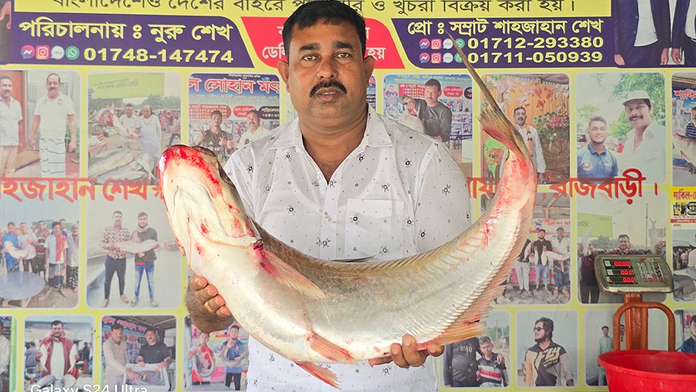 দৌলতদিয়ায় ধরা পড়ল ১০.৮ কেজির বিরল ঢাই মাছ, বিক্রি হলো ৫৮ হাজার টাকায়