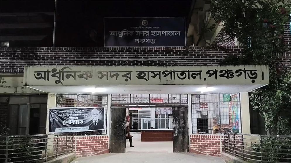 পঞ্চগড়ে রাতের আঁধারে শিয়ালের হামলা, আহত ৭