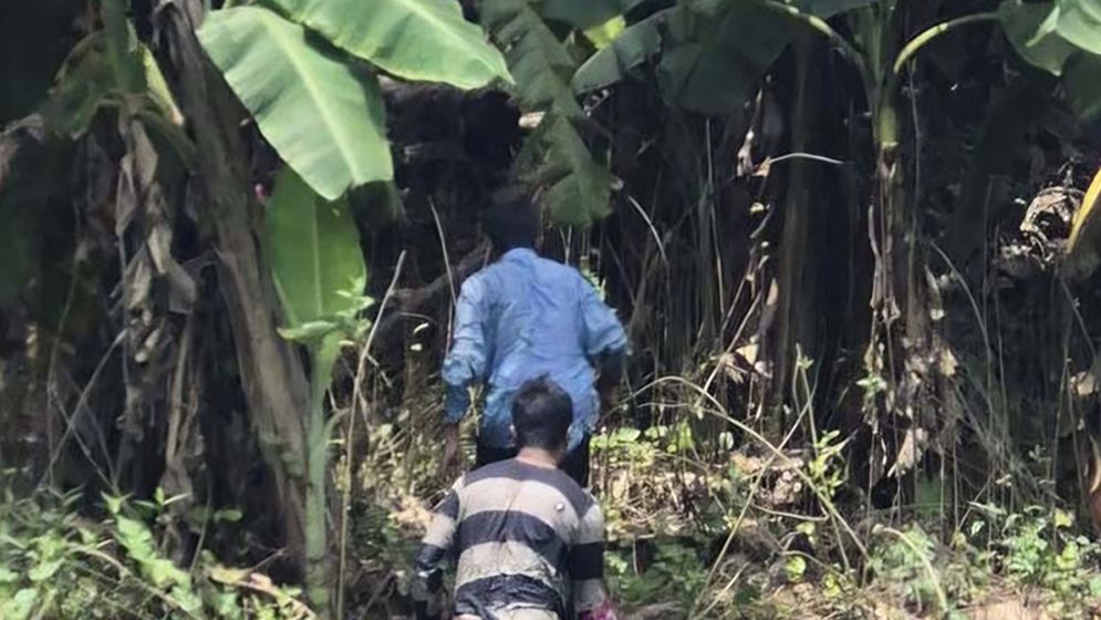 ঝিনাইদহ সীমান্তে বিএসএফের পুশইন চেষ্টা ঠেকাল বিজিবি